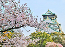体育高清-CBA一周综述：“第一集团”保持稳定 山东、深圳战绩亮眼